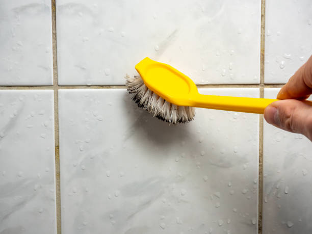 Water Damage Restoration in Evansville, IN