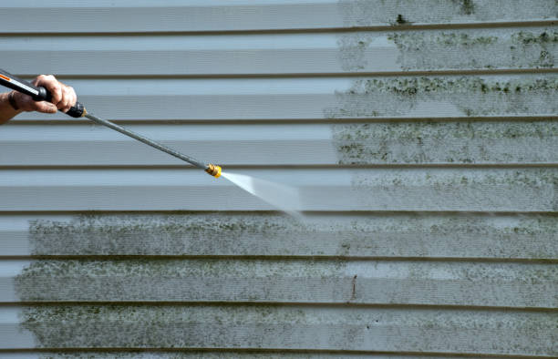 Best Crawl Space Mold Removal  in Evansville, IN