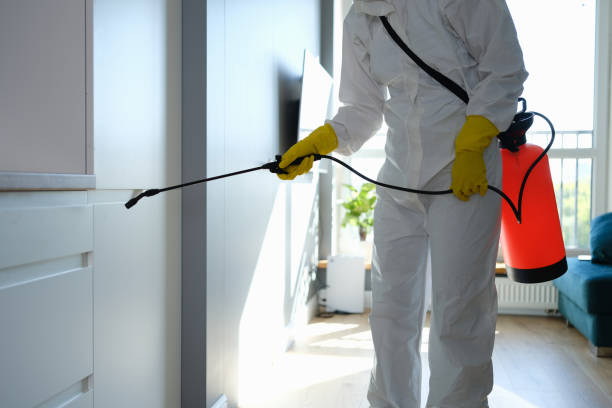  Evansville, IN Mold Removal Pros
