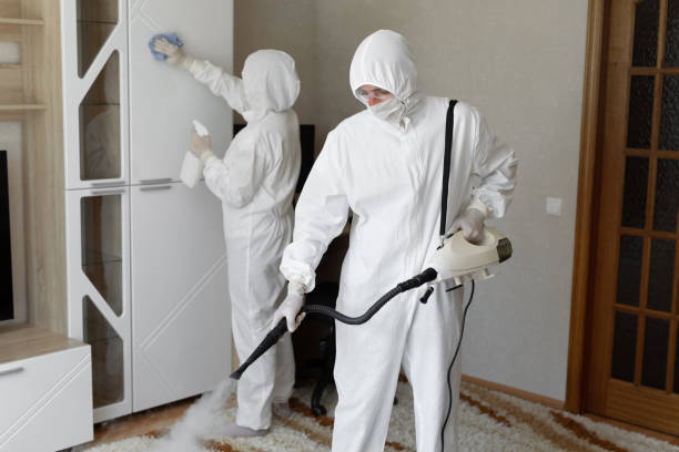 Crawl Space Mold Removal in Evansville, IN
